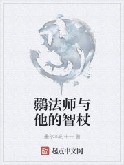 法师智慧球