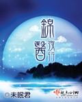 夜行实录2全文免费