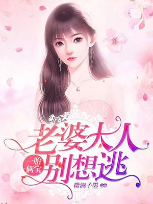 一胎俩宝老婆大人别想逃免费阅读全文846