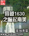 穿越1630之崛起南美88下载