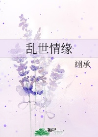 乱世情缘电视剧全集