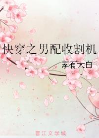 男神收割机什么意思