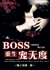 boss又宠我电视剧