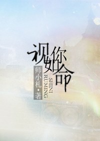 视你如命师小札简介