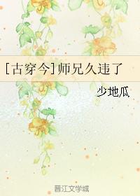 师兄呀师兄