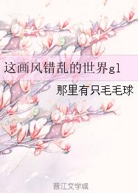 视频画风是什么意思