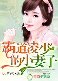 霸道凌少的小妻子人物介绍图