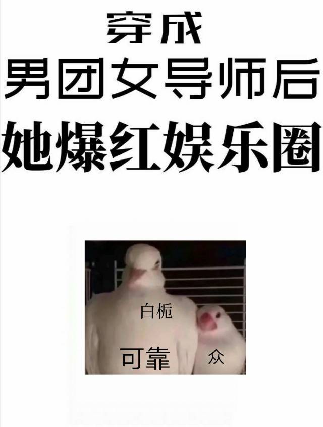 穿成男团里的女导师小说