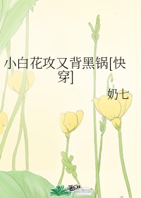 小白花攻又背黑锅快穿by