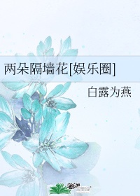 两朵小花打一个字