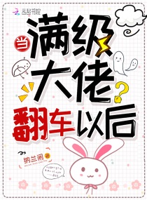 当满级大佬翻车以后 漫画