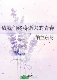 致我们终将逝去的青春主要讲什么