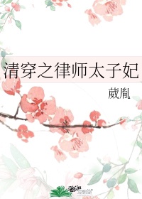 清穿之律师太子妃完本小说