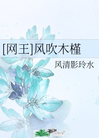 网王—吹雪 小说