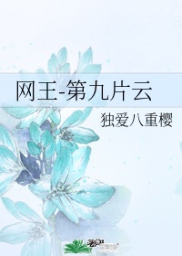 网王V17有那些国家