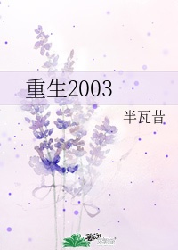 2003从外贸开始 小说