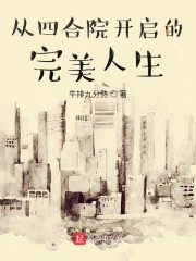 四合院:完美人生