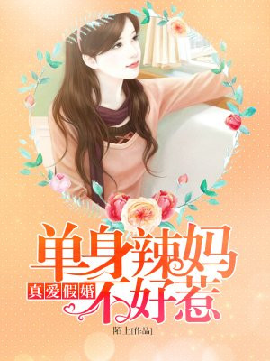 真爱假婚