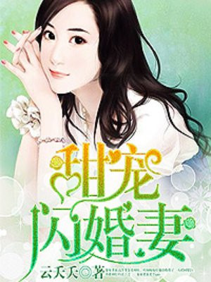 甜宠闪婚妻 小说无弹窗