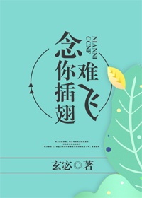 书名:《念你插翅难飞》