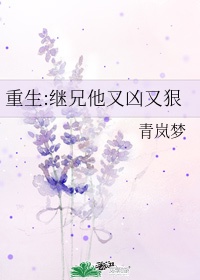 小说:继兄