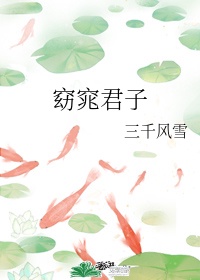 淑女起重机什么意思