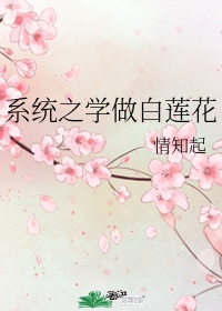 系统之学做白莲花txt百度云