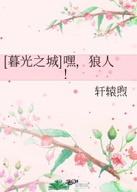 暮光之城主题曲叫什么名字