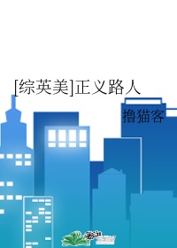 正义sr城镇高速公路1.49琪琪