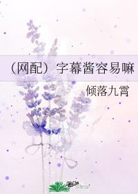 字幕组是怎么赚钱的