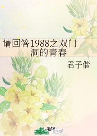 1988双门洞音乐