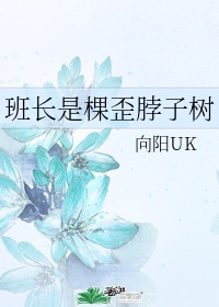 王师傅看着那棵歪脖子树