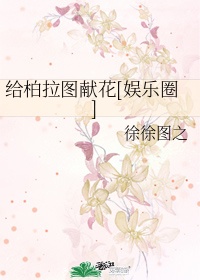 给柏拉图献花t