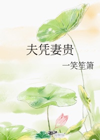 夫凭妻贵:神医王妃