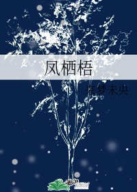 凤栖梧柳永读音