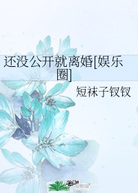 还没公开就离婚了免费阅读