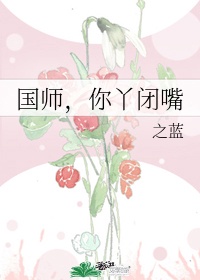 你节操掉了 小说