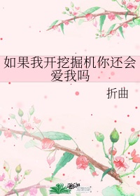 如果我学会了挖掘机