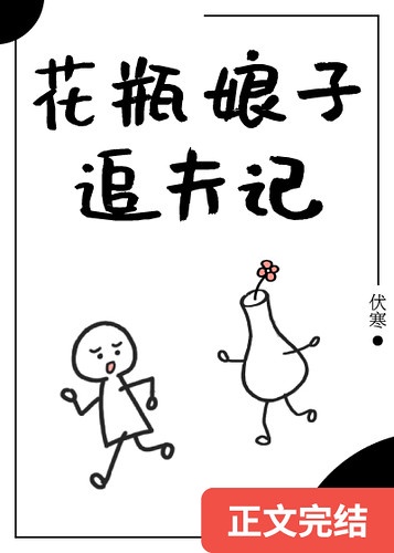 花瓶娘子追夫记 小说