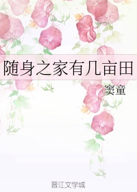 随身汀什么意思