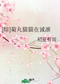 菊丸英二公式书