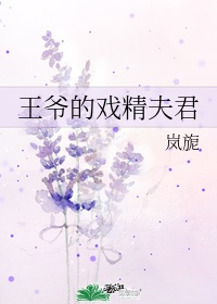 小说王爷夫君傻白甜