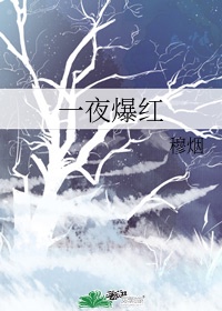 临安初雨一夜落红什么歌