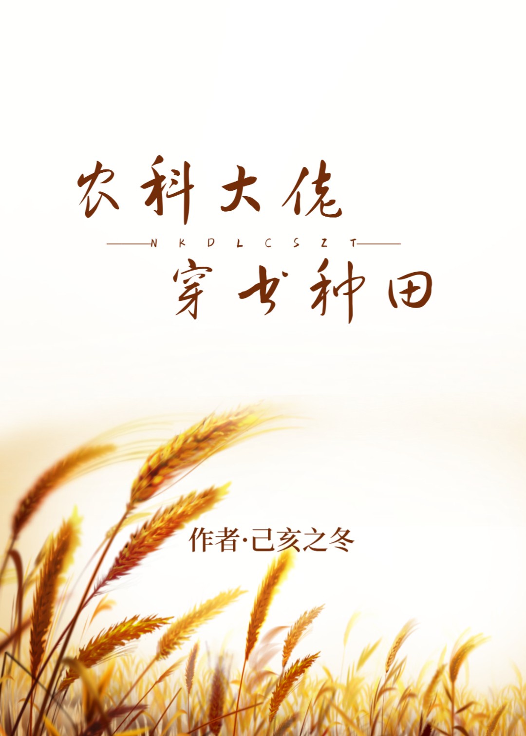 科技小农小说