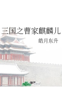 三国之曹家曹烁是谁