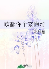 萌萌弹珠怎么获得