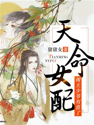 天命师小说