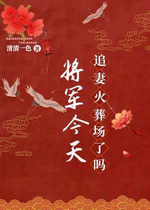 将军追妻火葬场类型小说