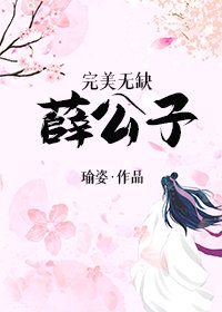 完美无缺薛公子结局如何