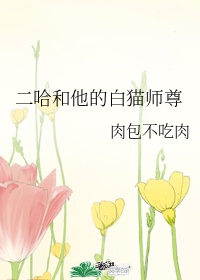 二哈和他的白猫师尊漫画完整版观看免费